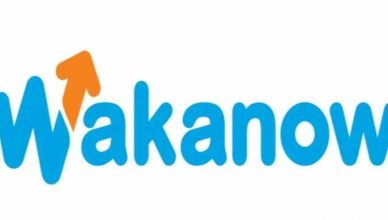 Download Wakanow mobile app
